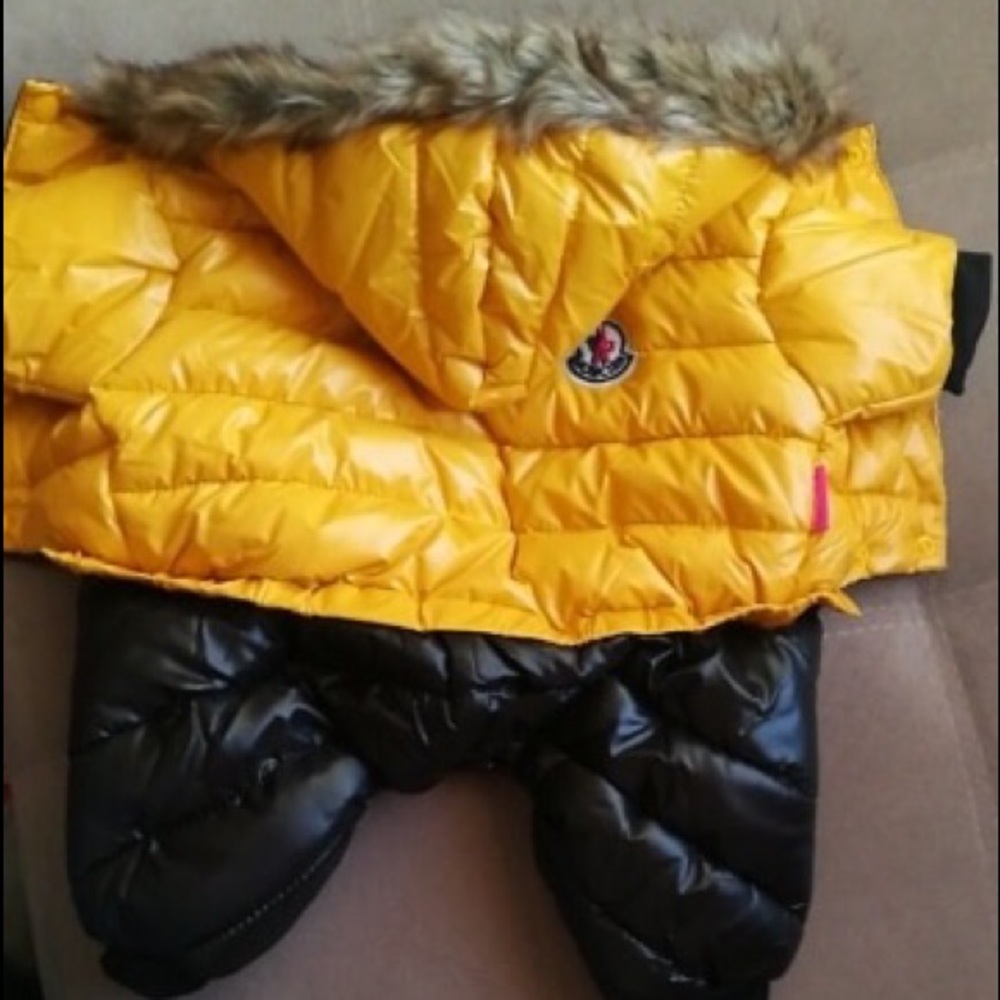 Dog jacket any size and color